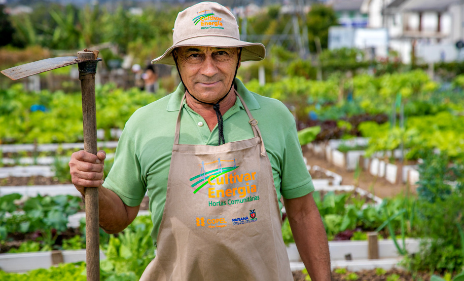 Hortas urbanas sob linhas de energia produzem toneladas de alimentos orgânicos no PR
