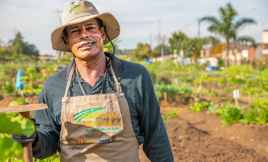 Hortas urbanas sob linhas de energia produzem toneladas de alimentos orgânicos no PR