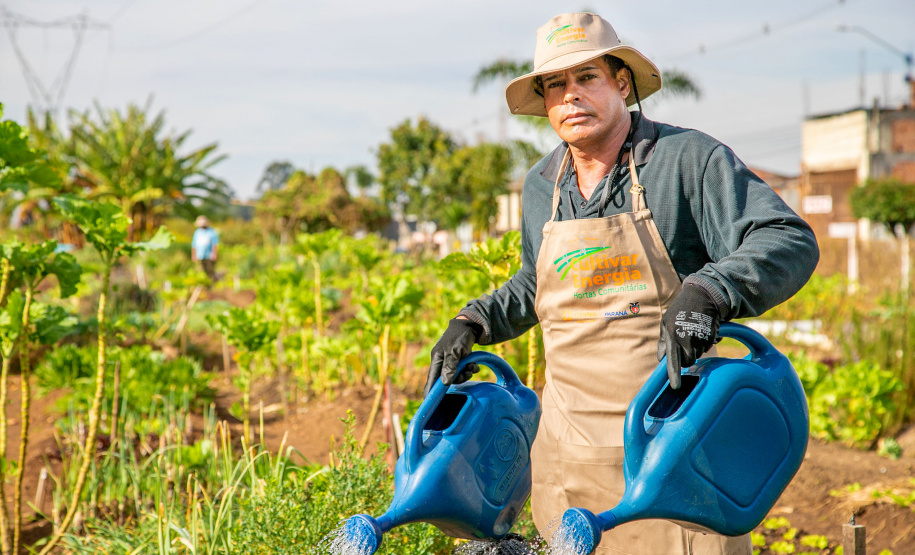 Hortas urbanas sob linhas de energia produzem toneladas de alimentos orgânicos no PR