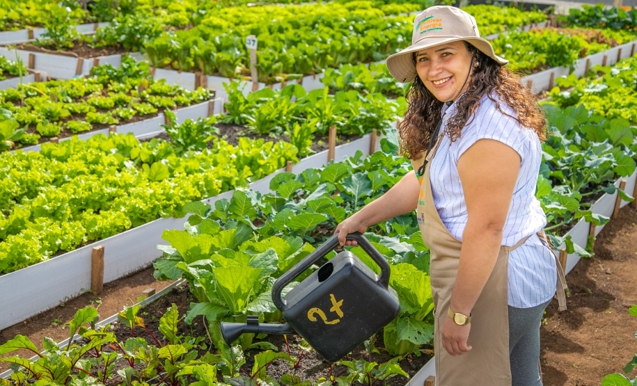 Hortas urbanas sob linhas de energia produzem toneladas de alimentos orgânicos no PR