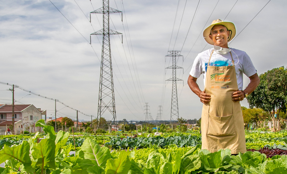 Hortas urbanas sob linhas de energia produzem toneladas de alimentos orgânicos no PR