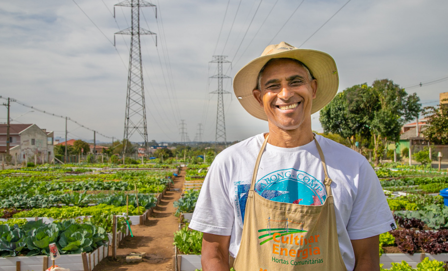 Hortas urbanas sob linhas de energia produzem toneladas de alimentos orgânicos no PR