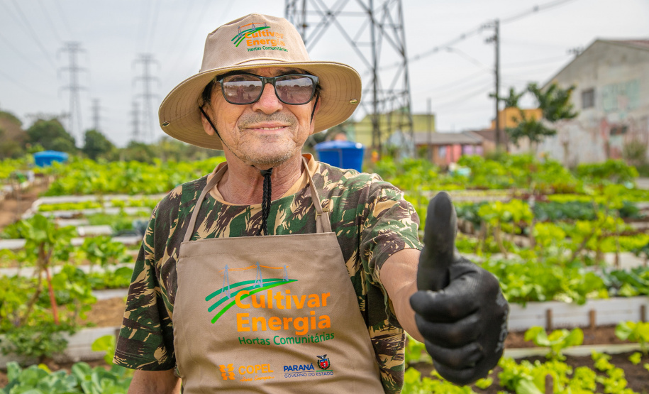 Hortas urbanas sob linhas de energia produzem toneladas de alimentos orgânicos no PR