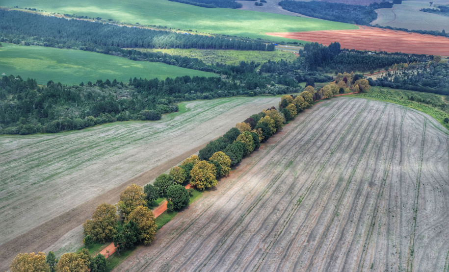Caderno Regional Agropecuário analisa formação do preço de terras no Paraná
