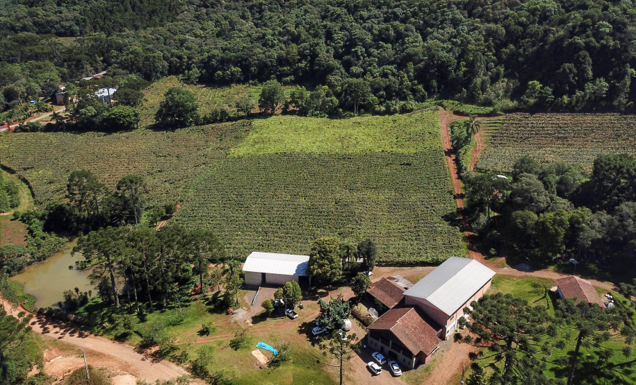 Caderno apresenta números da subvenção ao Seguro Rural no Paraná