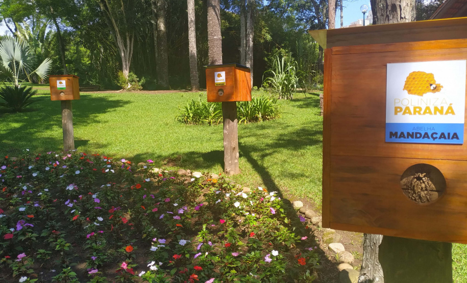 Projeto Poliniza Paraná está entre os três primeiros classificados de premiação nacional