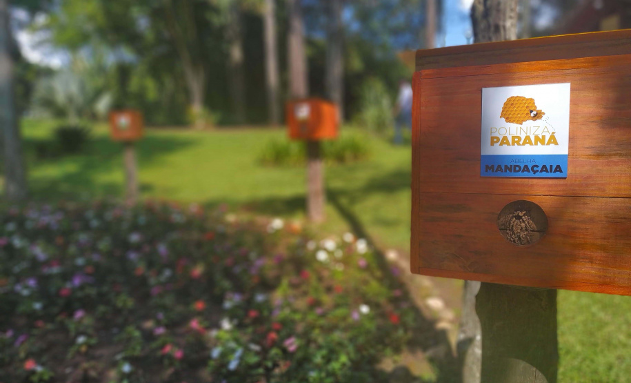 Projeto Poliniza Paraná está entre os três primeiros classificados de premiação nacional