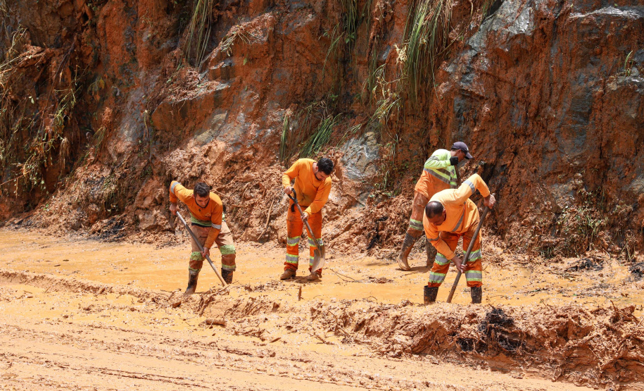 BR-277 será liberada parcialmente na tarde desta quarta-feira