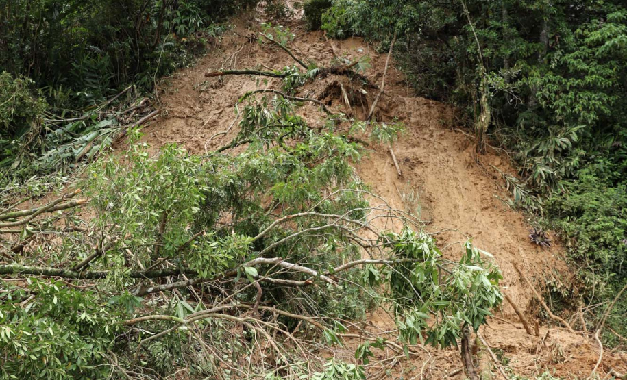 BR-277 será liberada parcialmente na tarde desta quarta-feira