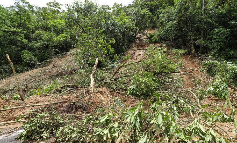 BR-277 será liberada parcialmente na tarde desta quarta-feira