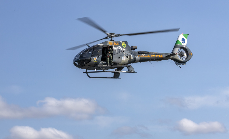 Operação Albatroz reforça combate ao tráfico internacional no Porto de Paranaguá