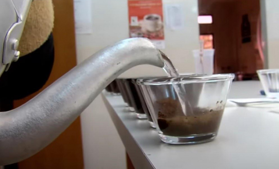 Melhor café do Paraná será conhecido quinta-feira, em Apucarana