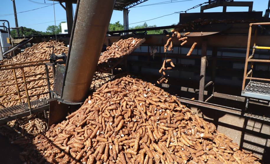 Agricultura lança novas edições do Prognóstico Agropecuário com perspectivas sobre seis produtos