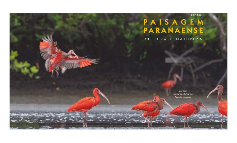 Colégios da rede estadual vão receber 1,6 mil exemplares de livro sobre a geografia e o meio ambiente do Paraná