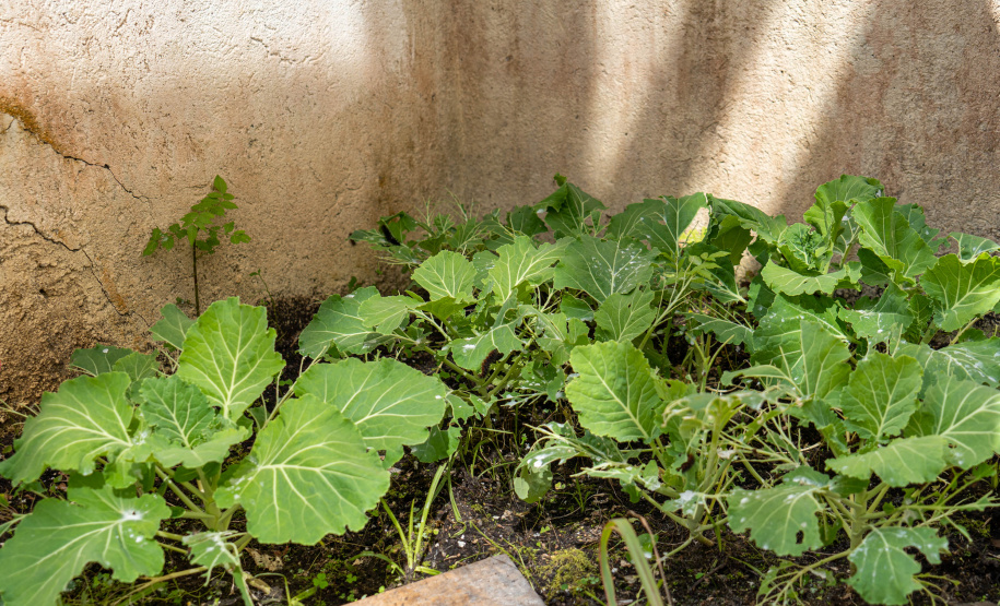 “Projeto Prato Limpo” é exemplo de mudança de hábitos no Instituto de Educação do Paraná
