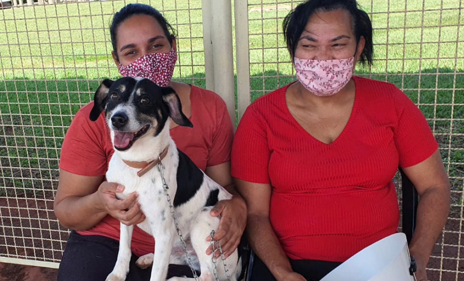 Mais de 2 mil animais devem ser atendidos nesta semana pelo CastraPet Paraná