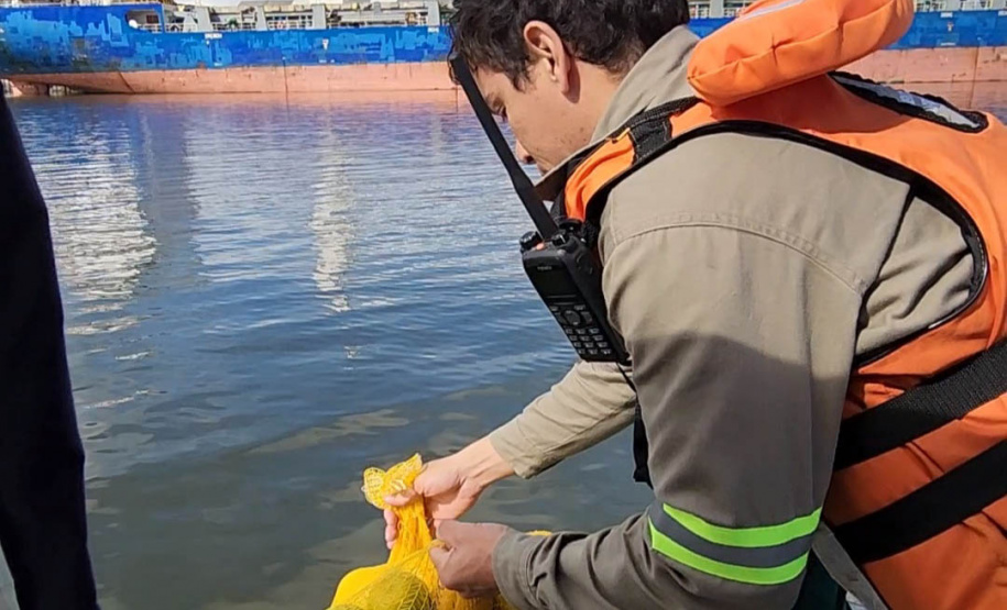 Portos do Paraná realiza simulado de emergência em Antonina