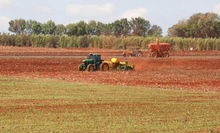 Plantio de soja no Paraná