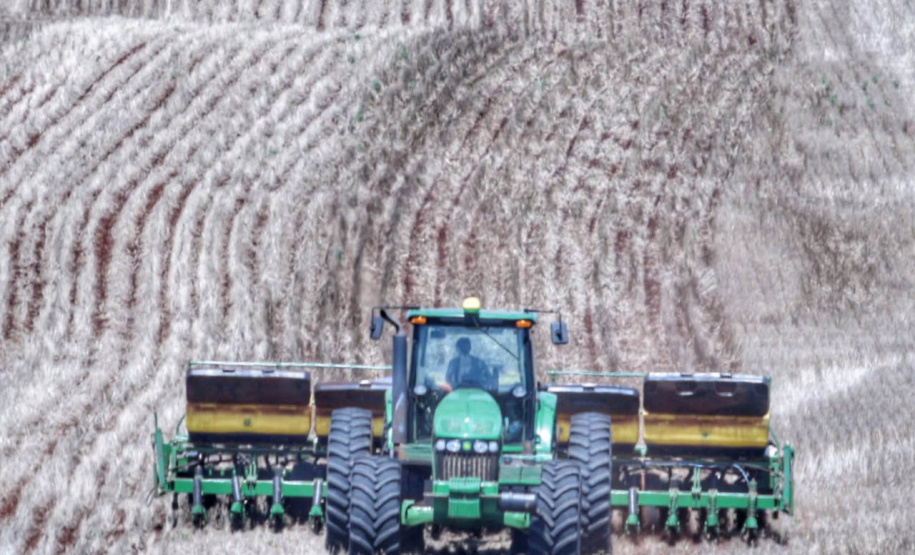 Plantio de soja no Paraná