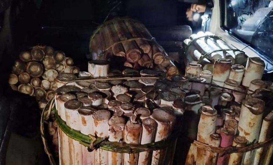 Denúncia via 181 prende suspeito de transporte de palmito ilegal no Litoral do Estado