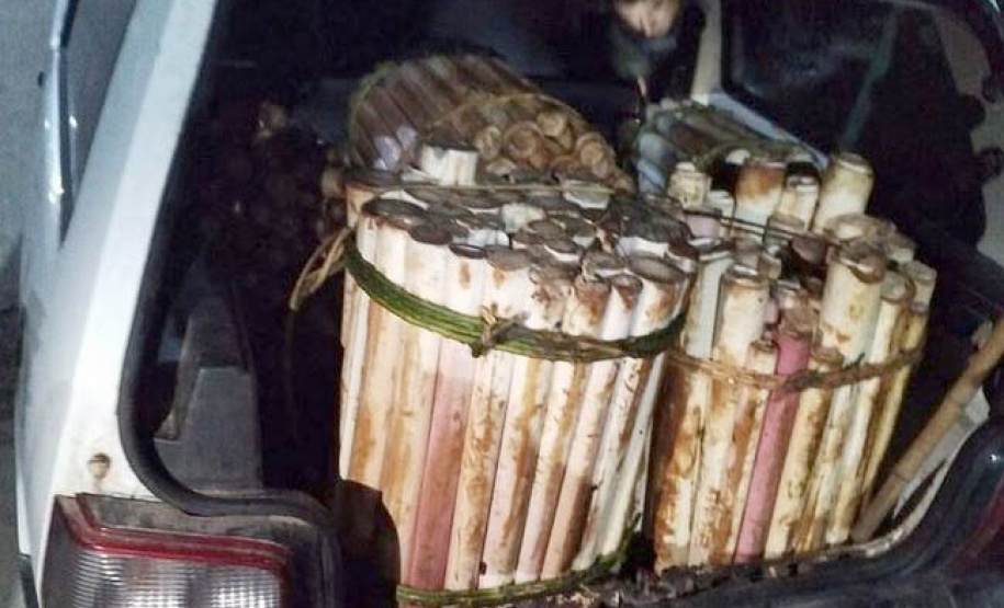 Denúncia via 181 prende suspeito de transporte de palmito ilegal no Litoral do Estado