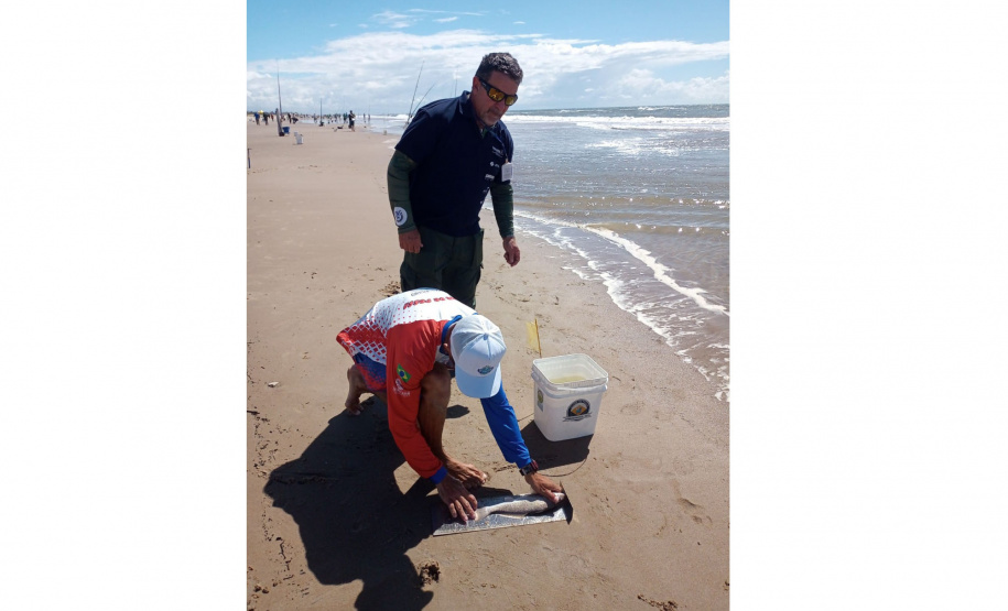 Com apoio do Projeto Rio Vivo, torneios de pesca resultam em recursos aos municípios paranaenses