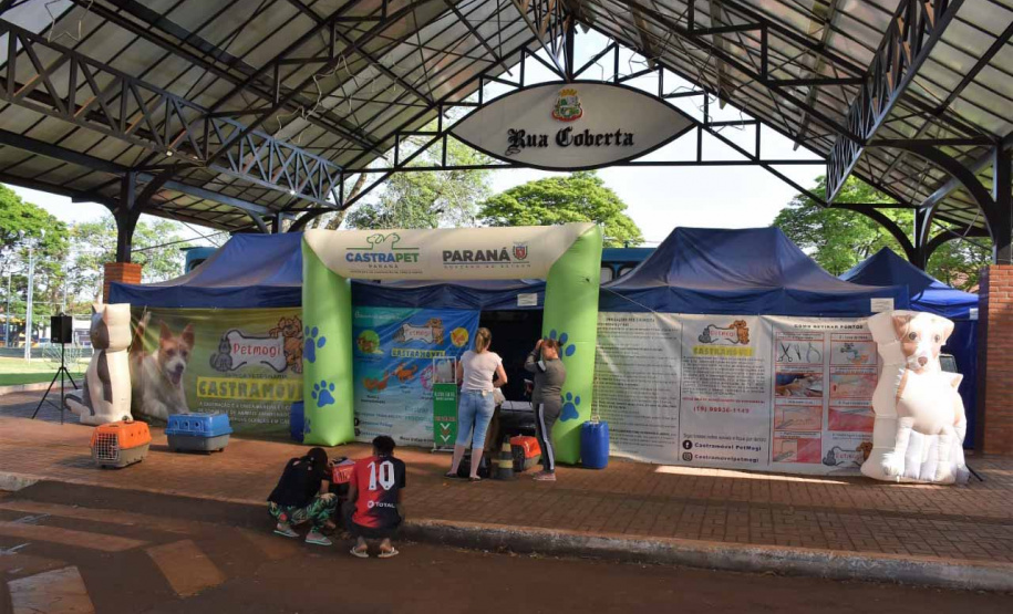 Em quatro meses, CastraPet Paraná atinge 63% dos municípios cadastrados no projeto neste ano