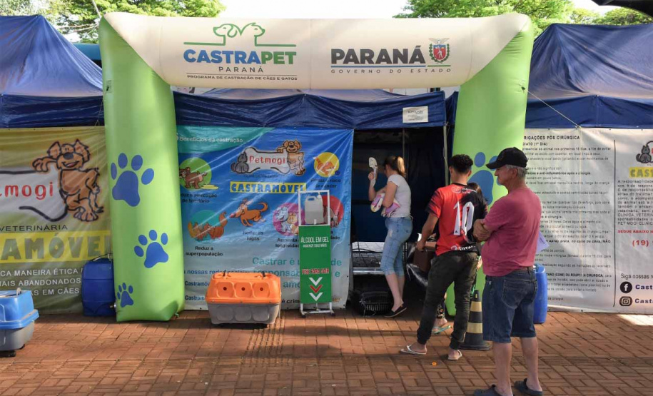 Em quatro meses, CastraPet Paraná atinge 63% dos municípios cadastrados no projeto neste ano