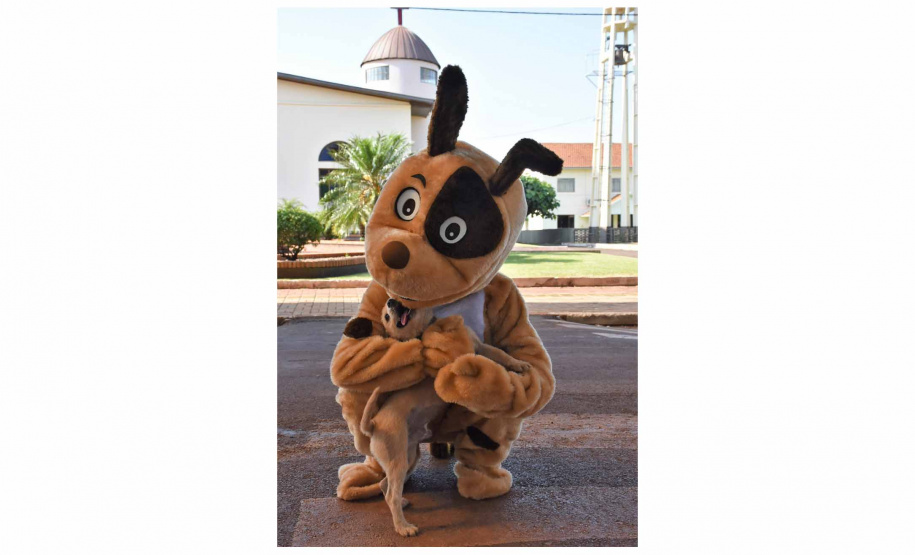 Em quatro meses, CastraPet Paraná atinge 63% dos municípios cadastrados no projeto neste ano