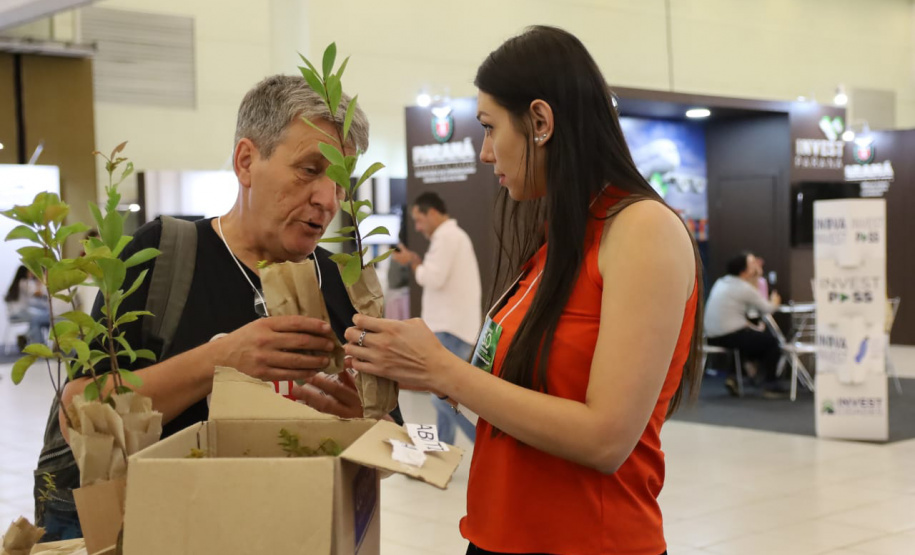 articipantes do Governo 5.0 levam para casa mudas de árvores nativas