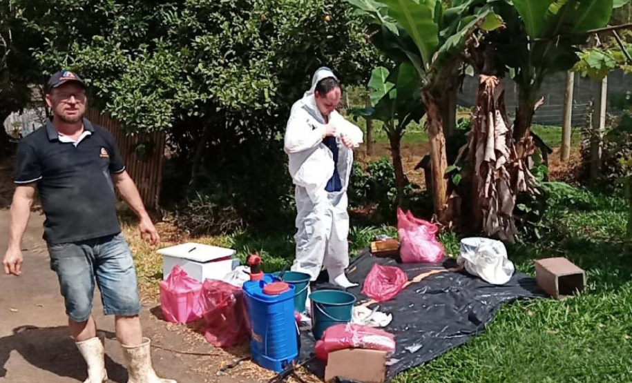 Adapar participa de simulado de emergência contra a peste suína africana