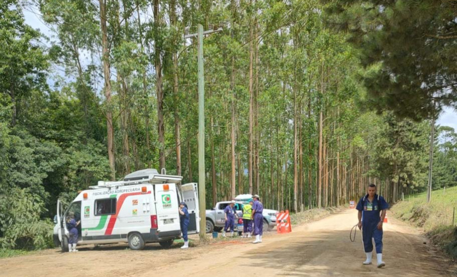 Adapar participa de simulado de emergência contra a peste suína africana