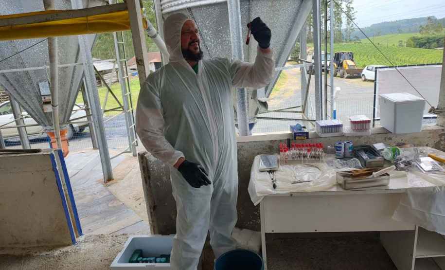 Adapar participa de simulado de emergência contra a peste suína africana