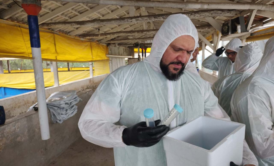 Adapar participa de simulado de emergência contra a peste suína africana