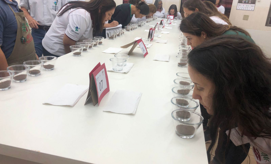 IDR-Paraná sedia Cup das Mulheres do Café