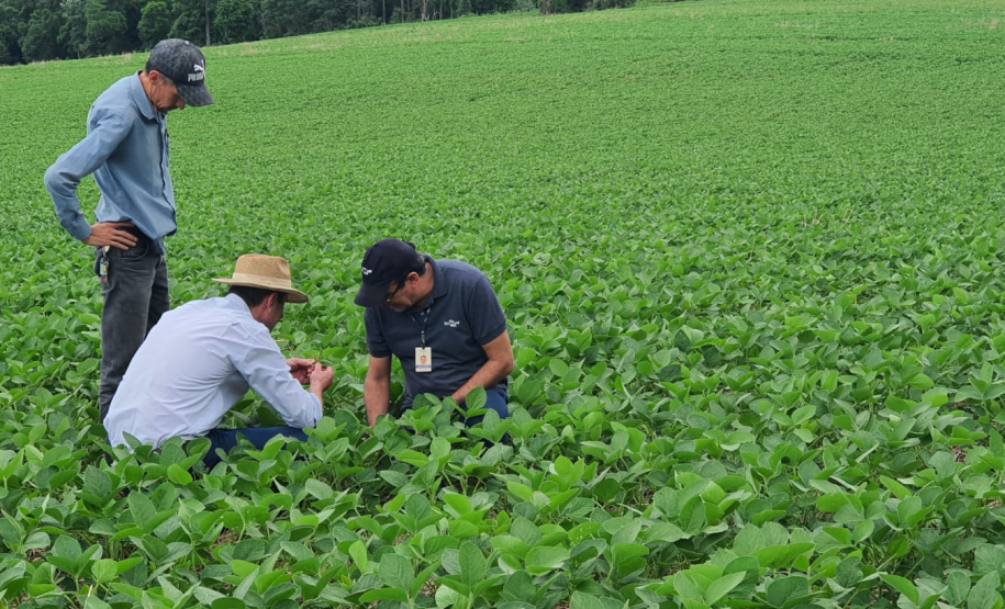 Giro Técnico da Soja reúne mais de 1000 produtores no Estado
