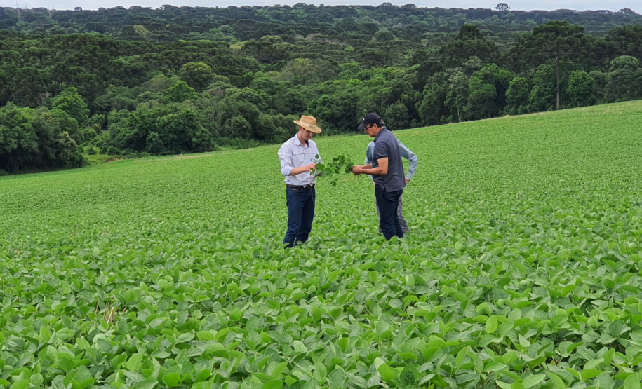 Giro Técnico da Soja reúne mais de 1000 produtores no Estado