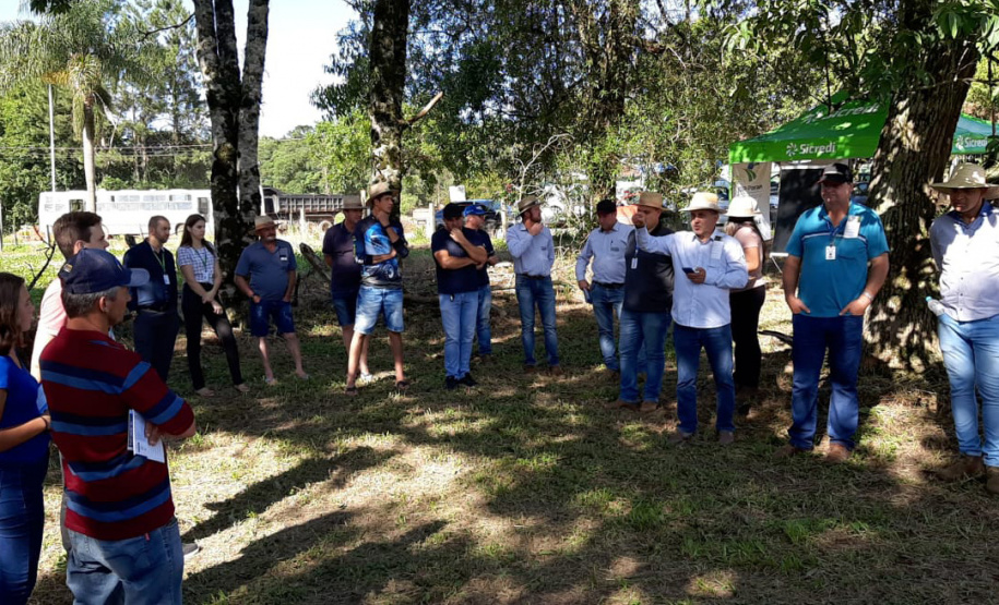 Giro Técnico da Soja reúne mais de 1000 produtores no Estado