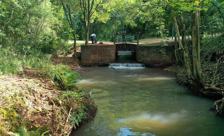 Voluntários limpam e preservam Rio Cascavel