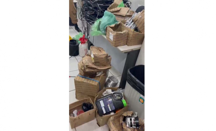 Denúncia anônima leva à apreensão de 42 pés de maconha em Curitiba