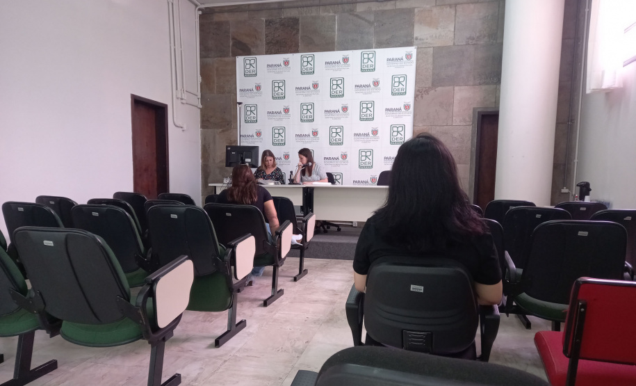 DER deve investir R$ 6,4 milhões na reforma de 17 pontes e viadutos