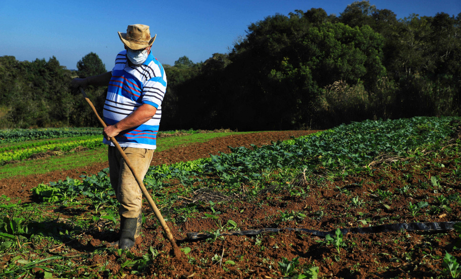 Reativado, programa de crédito fundiário viabiliza compra de terras no Paraná