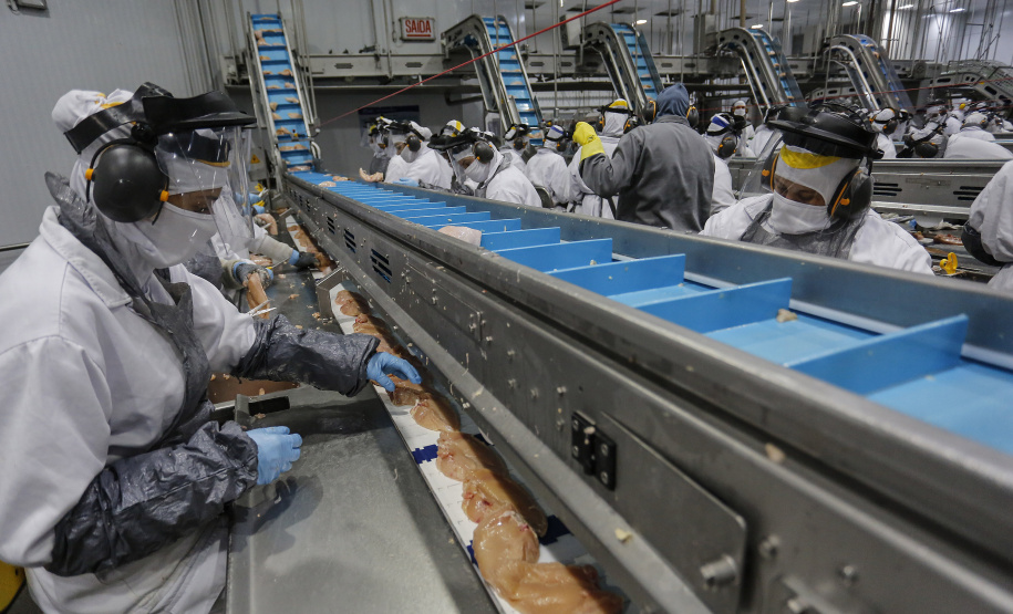 Com 4.832 vagas de emprego abertas em novembro, Paraná segue como o estado que mais emprega no Sul