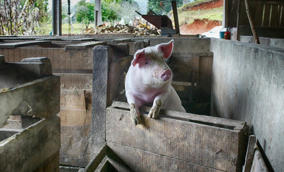 Licenças Ambientais emitidas pelo IAT em 2022 indicam R$ 68 bilhões em investimentos privados no Paraná