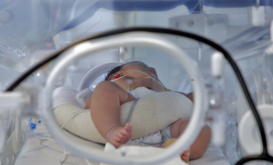 Cuidado materno-infantil garante queda de 82% no número de óbitos maternos no Paraná