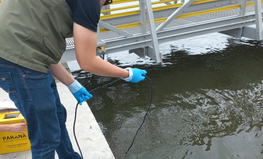 IAT investiga denúncias de crimes ambientais em Paranaguá