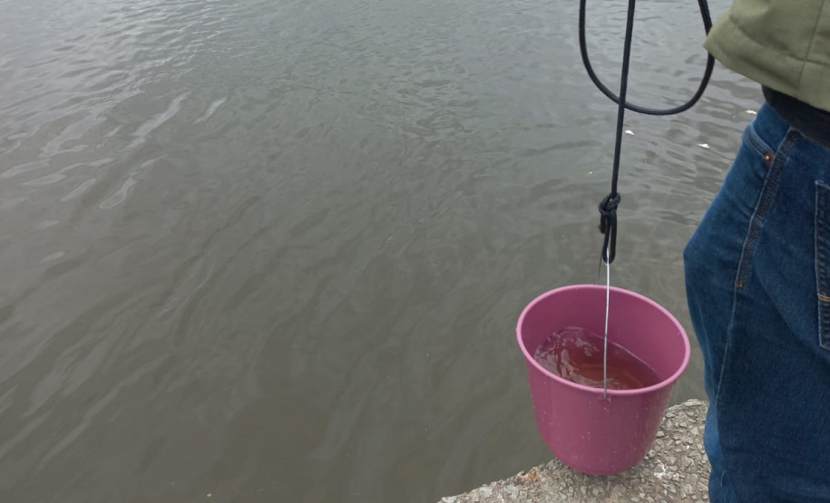 IAT investiga denúncias de crimes ambientais em Paranaguá