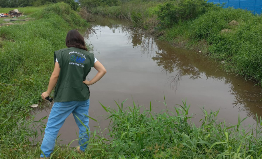 IAT investiga denúncias de crimes ambientais em Paranaguá