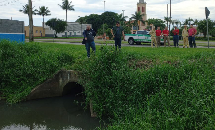 IAT investiga denúncias de crimes ambientais em Paranaguá