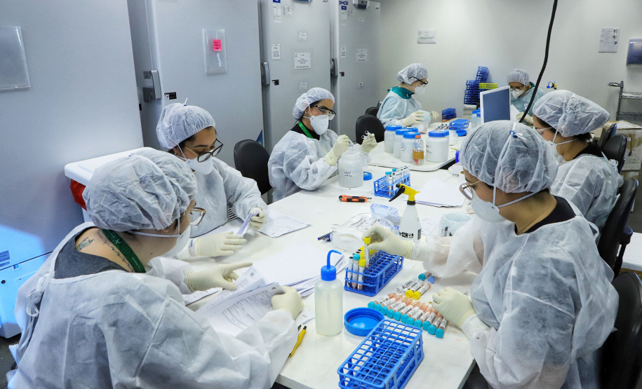 Para fortalecer portfólio, Tecpar diversificou investimentos e pesquisas na área da saúde